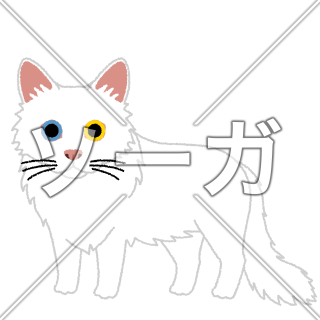 ターキッシュアンゴラの猫イラスト