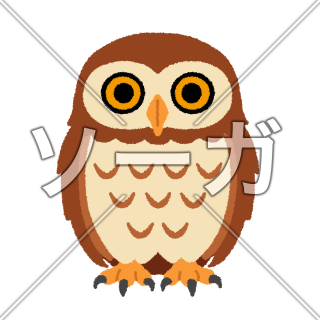 フクロウのイラスト