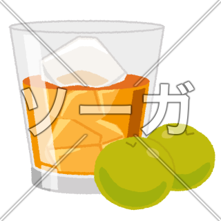 梅酒のイラスト