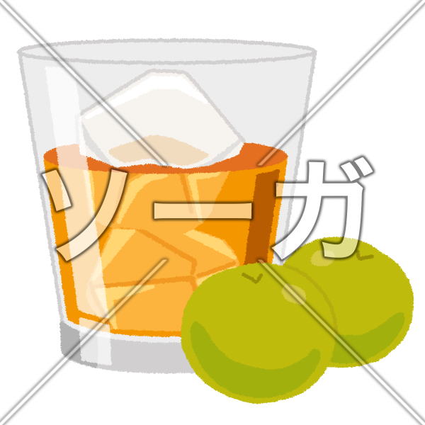 梅酒のイラスト