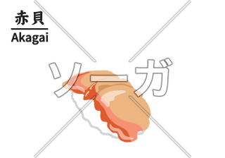 赤貝（アカガイ）寿司のイラスト
