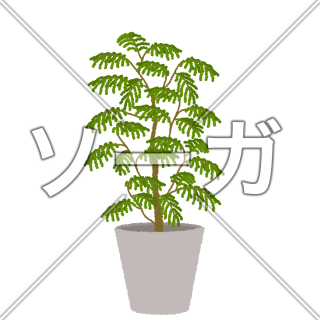 エバーフレッシュのイラスト