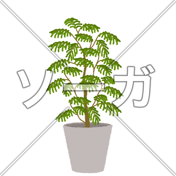 エバーフレッシュのイラスト