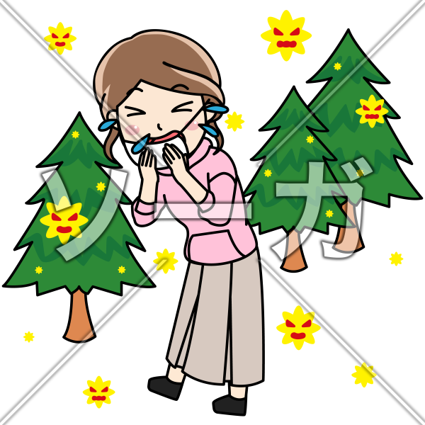 スギ・ヒノキ花粉でくしゃみをする女性（アレルギー）