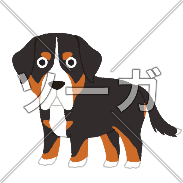 グレータースイスマウンテンドッグの犬イラスト