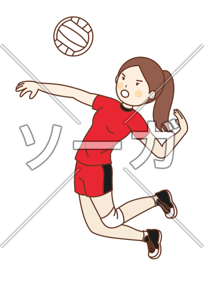 女子バレーボール選手 Vリーグ のイラスト素材 無料 ソーガ