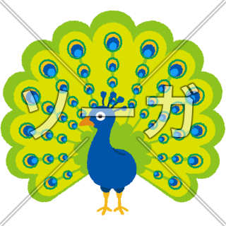 クジャクのイラスト