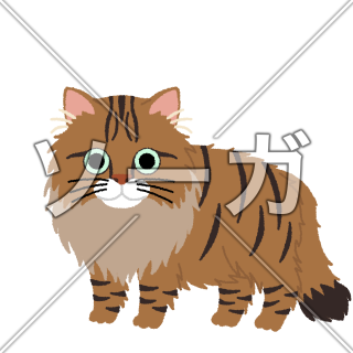 サイベリアンの猫イラスト