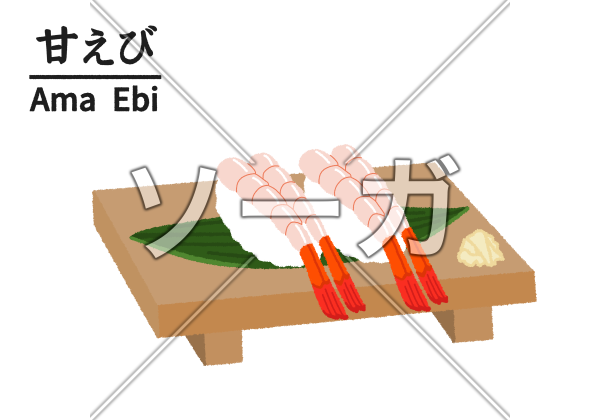 寿司屋の甘エビのイラストのイラスト素材 無料 ソーガ