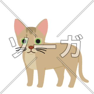 シンガプーラの猫イラスト