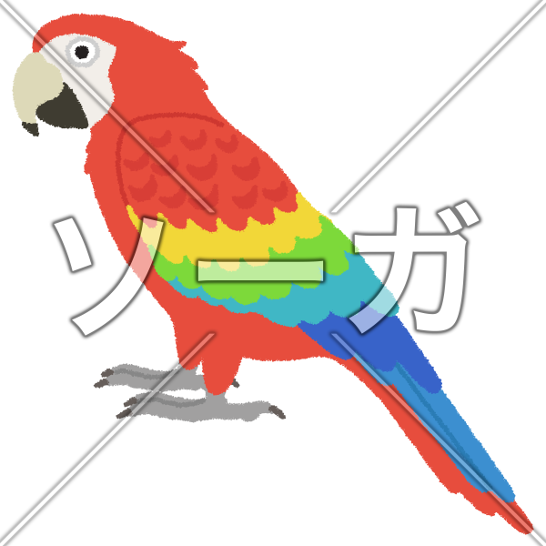 オウムのイラスト