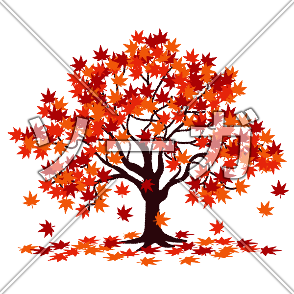 紅葉の木のイラストです。