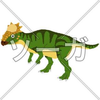 パキケファロサウルスのイラスト