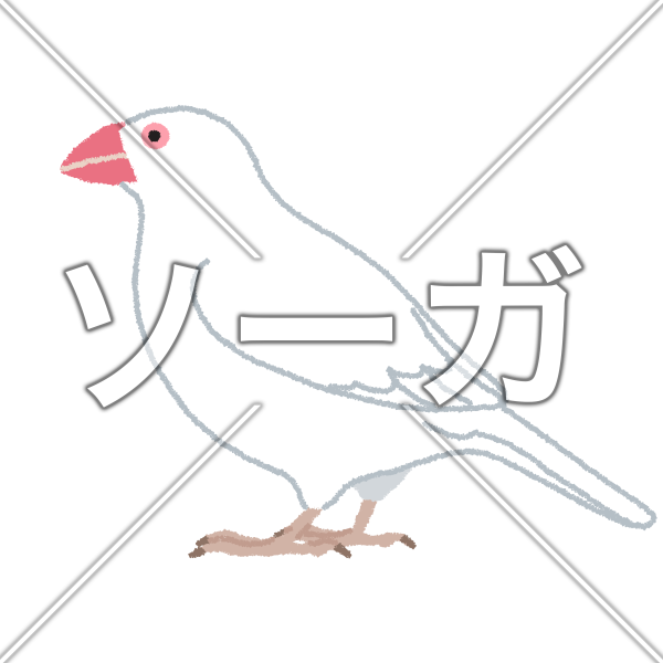 白文鳥（ハクブンチョウ）のイラスト