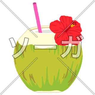 ココナッツジュースのイラスト