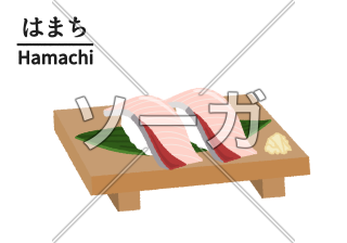 寿司屋のブリ・ハマチのイラスト