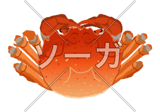 上海蟹のイラスト