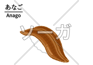 穴子（アナゴ）寿司のイラスト