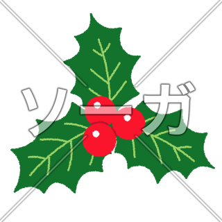クリスマスホーリー(セイヨウヒイラギ)のイラスト