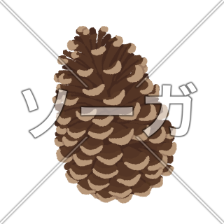 松ぼっくりのイラスト