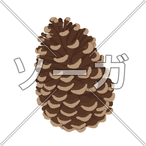 松ぼっくりのイラスト