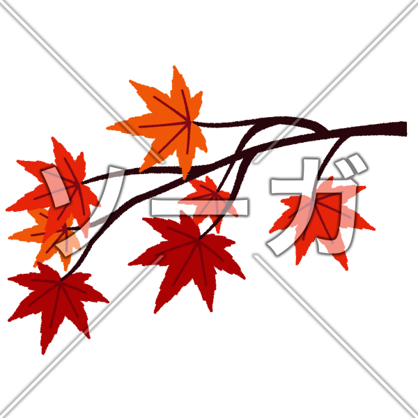 紅葉の木の枝のイラスト