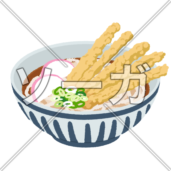 ごぼう天うどん