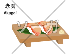 寿司屋の赤貝のイラスト