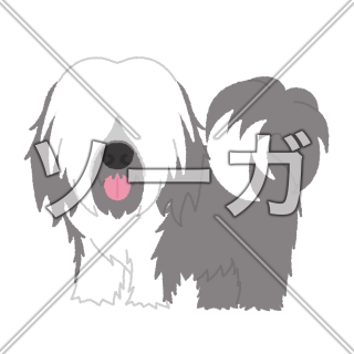 チベタンテリアの犬イラスト