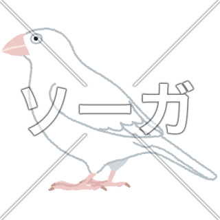 ジュウシマツのイラスト