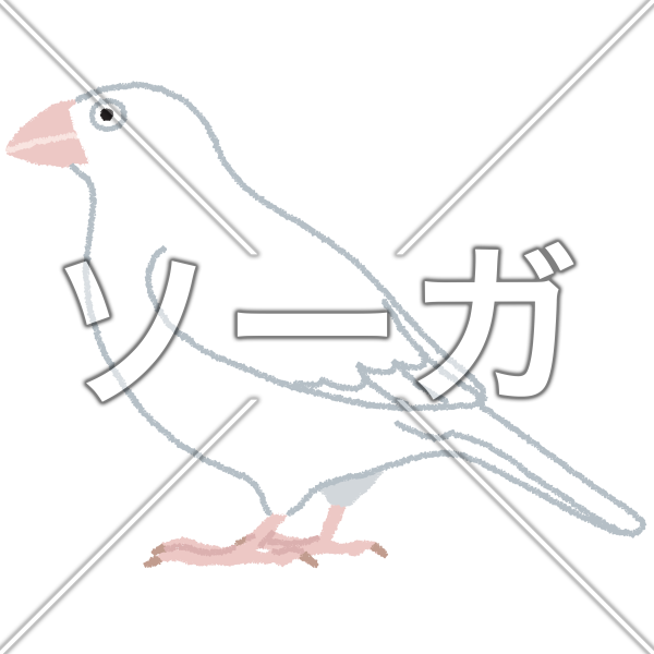 ジュウシマツのイラスト