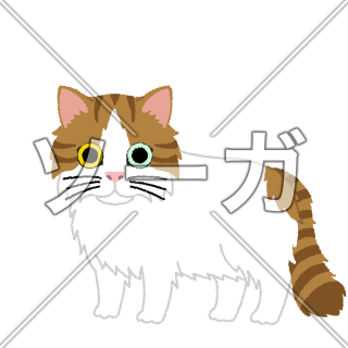 ターキッシュバンの猫イラスト