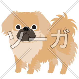 チベタンスパニエルの犬イラスト