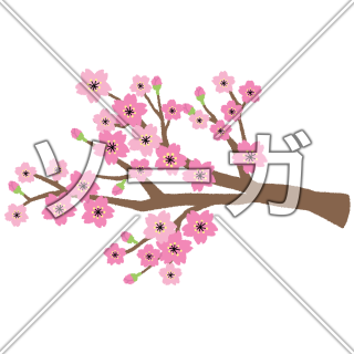 桜の木の枝のイラスト