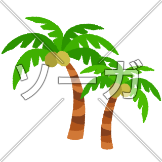 ヤシの木のイラスト