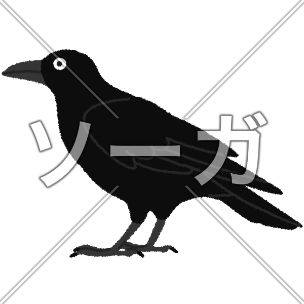 カラスのイラスト