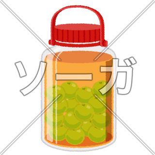 手作り梅酒のイラスト