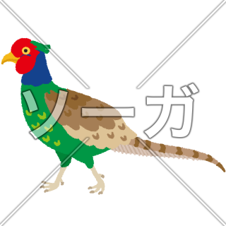 キジのイラスト