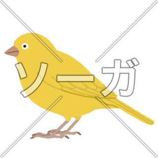 カナリアのイラスト